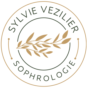 Sylvie Vézilier Annezin, Professionnel indépendant