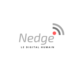 Nedge Mérignies, Professionnel indépendant